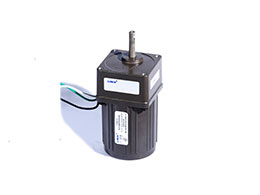 Reversible motor